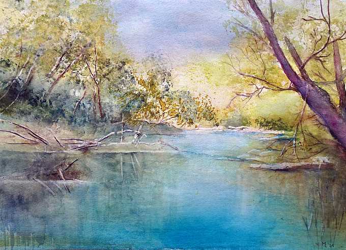 Sommer im Auwald