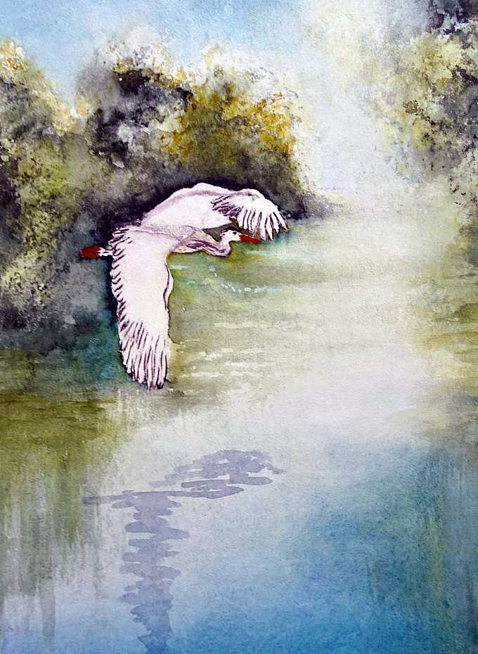 Leben im Auwald