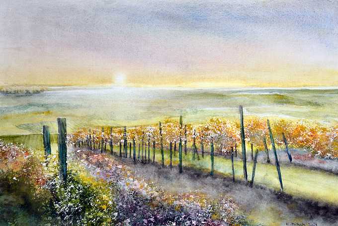 Weingarten am Neusiedlersee